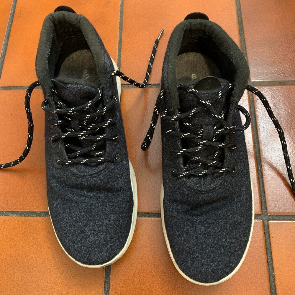 AllBirds Felt Sneakers